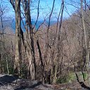 ���� �������, �����������, 49 ��� - ��������� 10 ��� 2013 � ������ ���� ����������