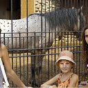 ���� &dagger;*�����*&dagger;, ������, 35 ��� - ��������� 11 ������ 2010 � ������ ���� ����������