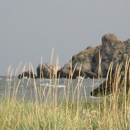 sea