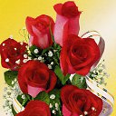 ���� ����, ����� - ��������� 7 ������� 2012 � ������ ��������������