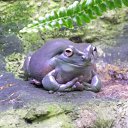 ���� Ը��� ������, ������, 53 ���� - ��������� 1 ������� 2010 � ������ ���� ����� ���������.�