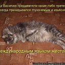 ���� �������, ����������, 37 ��� - ��������� 31 ������ 2012