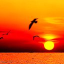 ���� Mcsflash, �������, 38 ��� - ��������� 22 ������� 2010 � ������ �������