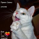 ���� �������, ������, 68 ��� - ��������� 22 ������� 2012 � ������ ���������