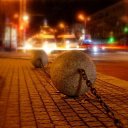  , , 45  -  12  2013       !!!!