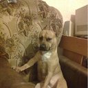 ���� ����, �������, 45 ��� - ��������� 21 ������ 2011 � ������ ���� ����������