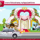     , -, 40  -  21  2010   PetLove