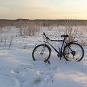 ���� �����, �����������, 46 ��� - ��������� 13 ��� 2011