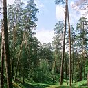 ���� ������, ����, 55 ��� - ��������� 30 ���� 2010 � ������ ��������