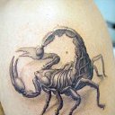  , -, 55  -  4  2013   Tattoo