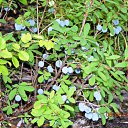  Sergey, , 65  -  11  2010   