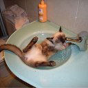 ���� �������, �����, 39 ��� - ��������� 2 ������ 2009 � ������ ��������� �����