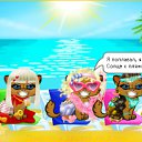 ���� ��� Vredinka, ����� - ��������� 25 ���� 2010 � ������ �������� ������ � �� �������
