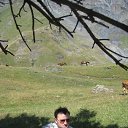  Vako, , 43  -  19  2012    