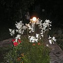 ���� �������, ������, 50 ��� - ��������� 1 ������ 2013 � ������ ���� ����������