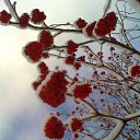 ���� ������, ���������, 39 ��� - ��������� 14 ������� 2009 � ������ �74 �����