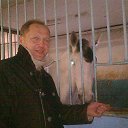 ���� ������, ������ ��������, 55 ��� - ��������� 15 ���� 2013 � ������ ���� ����������