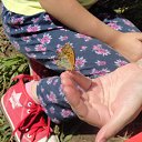 ���� �������, ���, 67 ��� - ��������� 31 ���� 2013 � ������ ������ �� ���� ��