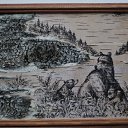 ���� �������, ������, 61 ��� - ��������� 2 ������� 2011 � ������ ���� �������