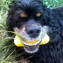 ���� ����, ������, 46 ��� - ��������� 13 ���� 2011