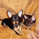 ���� ������, ������, 68 ��� - ��������� 9 ������� 2012 � ������ ���� ��������