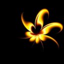 ���� �����, ����, 28 ��� - ��������� 25 ������� 2010 � ������ �������� ��������