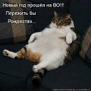 ���� ��������, �����������, 41 ��� - ��������� 26 ������ 2012 � ������ ���� ����������