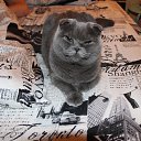 ���� �����, ������, 59 ��� - ��������� 16 ������� 2012 � ������ �������