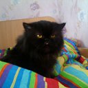  Nadezhda, , 48  -  22  2012   