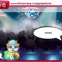  , , 22  -  20  2010   PetLove