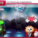  , , 26  -  28  2010   PetLove