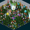  s__mnik,  -  23  2012   Tropikania