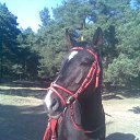  Natasha,  , 31  -  17  2012   