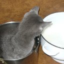 ���� �����, �������, 56 ��� - ��������� 29 ������� 2012 � ������ ������� �������