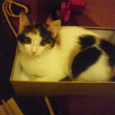 ���� Hell Girl, ���������, 31 ��� - ��������� 22 ������� 2010 � ������ ��������� ���