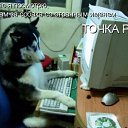 ���� �����, ����������� - ��������� 3 ������ 2010 � ������ �������