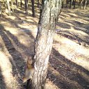 ���� ������ ~������~ ������ � �����, �������, 45 ��� - ��������� 21 ������� 2010 � ������ �������