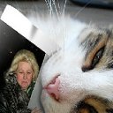 ���� �����, �����-���������, 58 ��� - ��������� 28 ������� 2012 � ������ �������