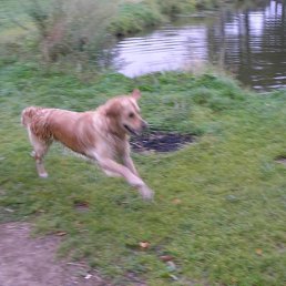 ���, ������, 28 ���