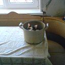 ���� Hell Girl, ���������, 31 ��� - ��������� 22 ������� 2010 � ������ ��������� ���