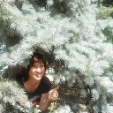 ���� ���������� �������, ������� - ��������� 12 ���� 2013