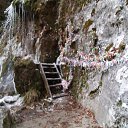 ���� �����, �����, 63 ���� - ��������� 7 ������� 2012 � ������ ���� ����������