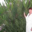  , , 68  -  4  2010   -2010