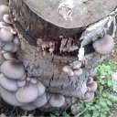 ���� ���@����@, �������, 49 ��� - ��������� 14 ������� 2011 � ������ ���� ����������