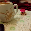 ���� ������, ������, 46 ��� - ��������� 19 ������ 2012 � ������ ���� ����������