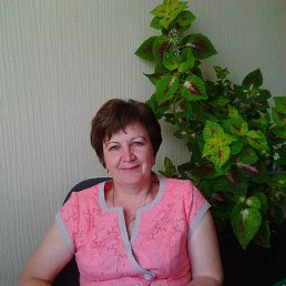  , 61, 