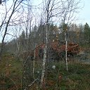 ���� ������, ��������, 50 ��� - ��������� 19 �������� 2012