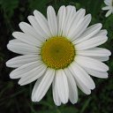 ���� �����, ��������, 45 ��� - ��������� 3 ������� 2010 � ������ ����� �������