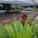 ���� �������, ��������, 62 ���� - ��������� 25 ����� 2013