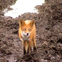 ���� ���������, �������������-����������, 53 ���� - ��������� 28 ������ 2013 � ������ ���� ����������